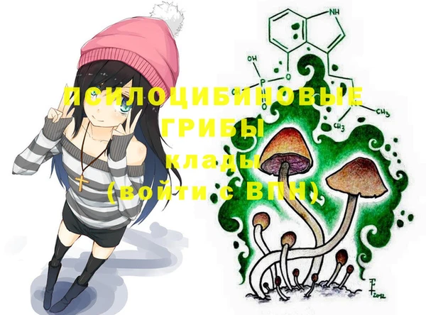 каннабис Верея