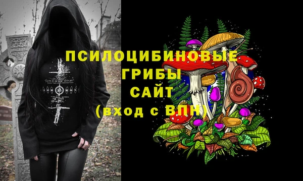 каннабис Верея