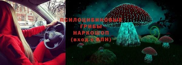 гашик Верхний Тагил