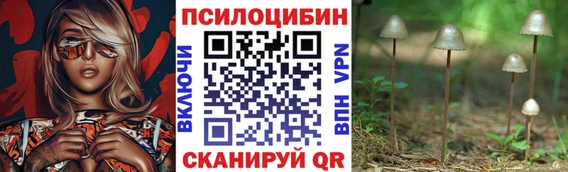 что такое наркотик  сайты даркнета официальный сайт  Псилоцибиновые грибы Magic Shrooms  Подпорожье 